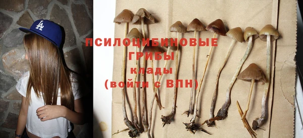 молекула духа Абдулино