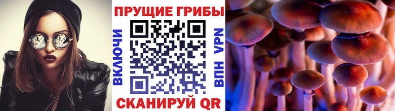 Галлюциногенные грибы Psilocybine cubensis  где продают наркотики  мега вход  Райчихинск 